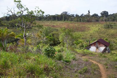 Etrafı tropik yeşilliklerle çevrili.