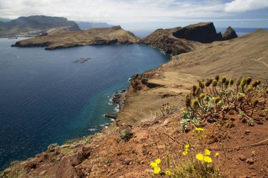Deniz kıyısının güzel manzarası