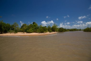 Amazon 'un yoğun yağmur ormanları yeşil yapraklar ve nehirlerle doludur.