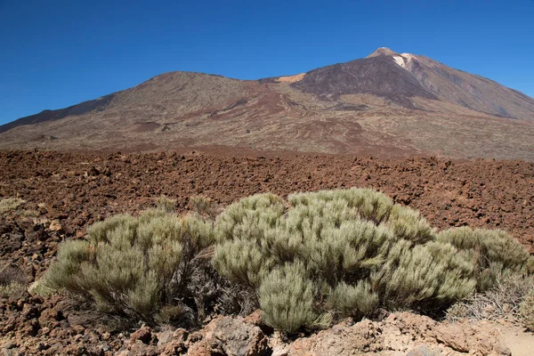 Vista Una Bella Scena Naturale Con Montagne — Foto Stock