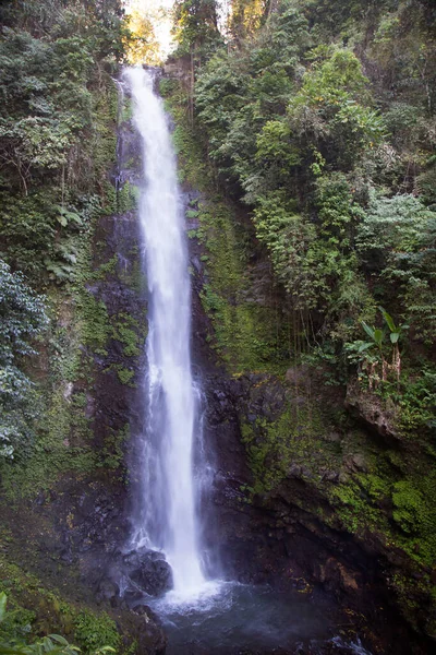 Ormanda güzel bir şelale