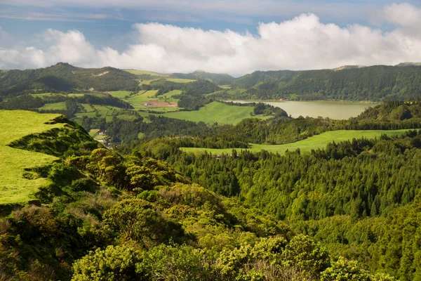 Yeşil ağaçları ve mavi gökyüzü olan güzel bir manzara.