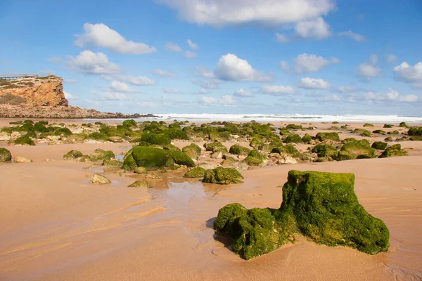 Красивий Вид Морське Узбережжя Зеленими Моховими Скелями — стокове фото