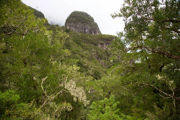 Dağların güzel manzarası