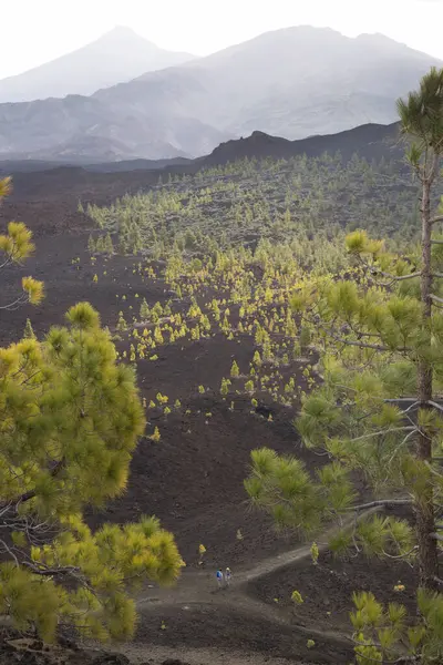 Dağlı güzel doğal manzara