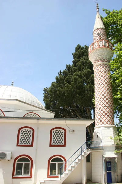 Mezquita Rodeada Árboles — Foto de Stock