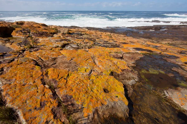 Güzel kıyı şeridi ve okyanus manzarası. 