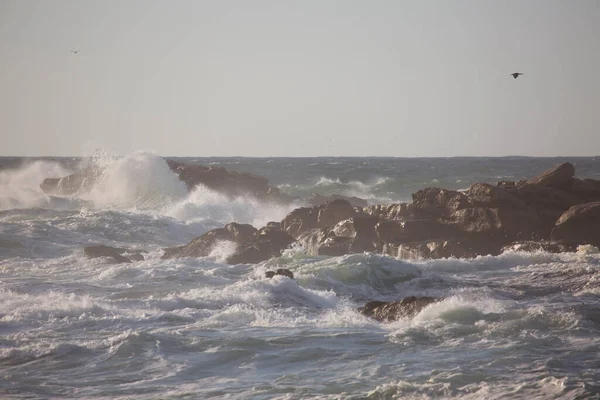 Хвилі Розбиваються Пляжі — стокове фото