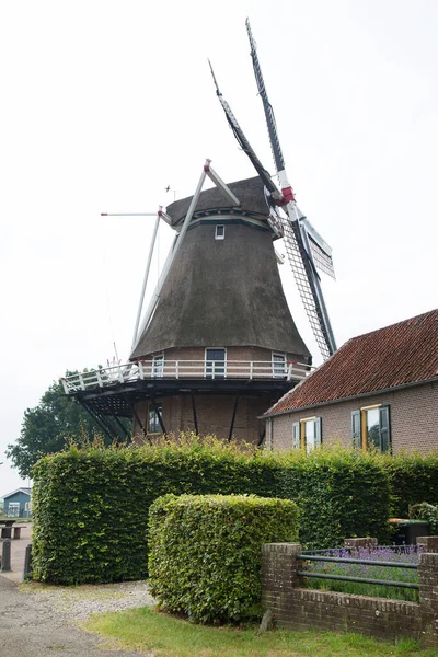 Typische Alte Holländische Schrotmühle Auf Ziegelsteinstandard Und Musterpflaster Umgebaut Windenergie — Stockfoto