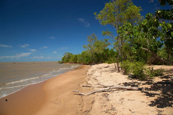 Çamurlu nehir suyu ve yeşillikle kumlu sahil