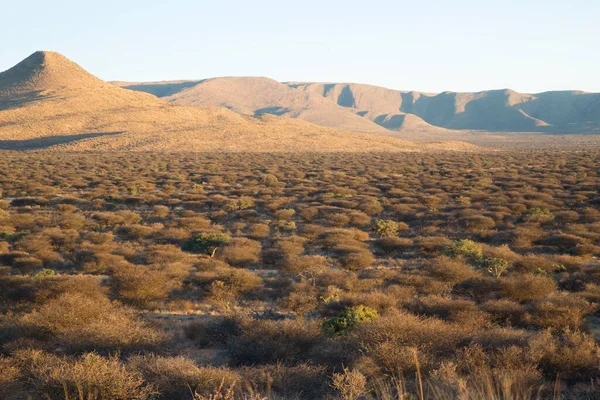 Piękny Krajobraz Obszaru Pustynnego — Zdjęcie stockowe