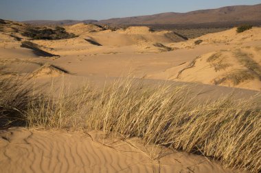 Çölün güzel manzarası