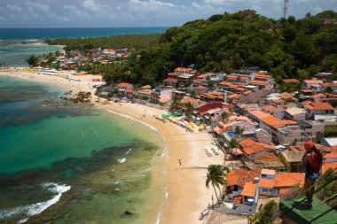 Yazın plaj manzarası ve tropik deniz manzarası