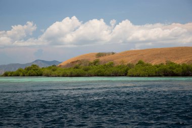Güzel deniz manzarası