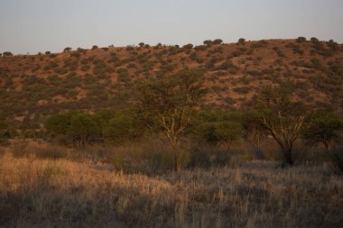 Doğanın güzel manzarası