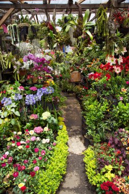 Güzel taze çiçekler Doğal manzara