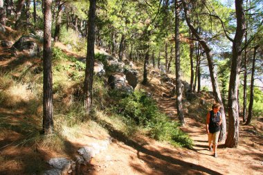 travel concept, tourists discover nature