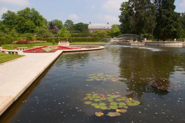 Havuzu ve yeşilliği olan güzel botanik bahçesi manzarası