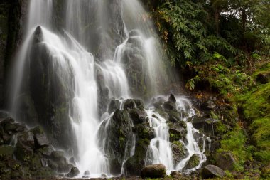 Ormanda güzel bir şelale