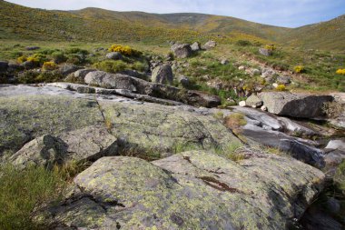 Dağlarda nehri olan güzel bir manzara.