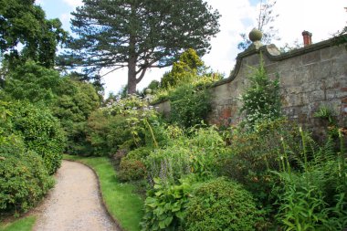 Yazın güzel bahçe manzarası