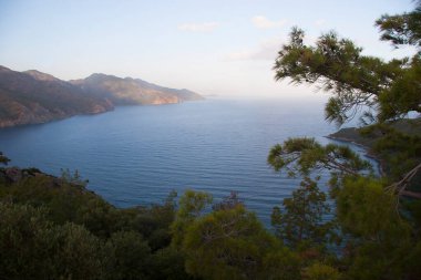 Güzel deniz manzarası