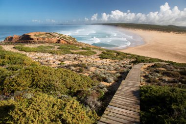 Yazın güzel sahil manzarası
