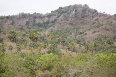 Kuru dağlık manzaranın güzel manzarası 