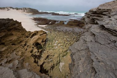 Deniz kıyısının güzel manzarası