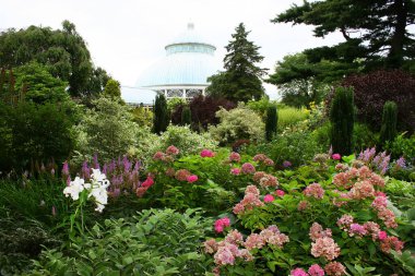 Güzel çiçekler ve bitkilerle dolu park