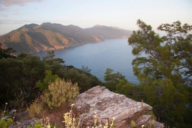 Güzel göl manzarası