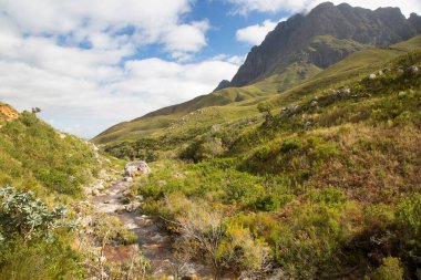 Dağları ve mavi gökyüzü olan güzel bir manzara. 