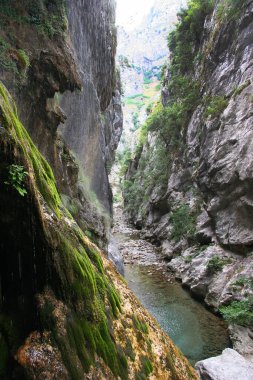 Dağlardaki doğal nehir manzarası