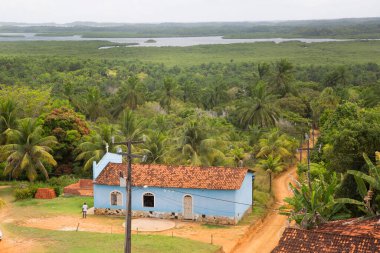 Köyün binalarıyla dolu verimli tropikal bir sahne, seyahat çekimi.