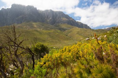 Dağları ve mavi gökyüzü olan güzel bir manzara. 