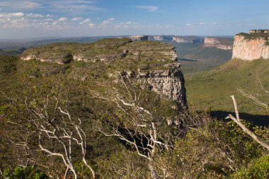Güneşin yemyeşil olduğu kayalık manzaralı güzel bir manzara.