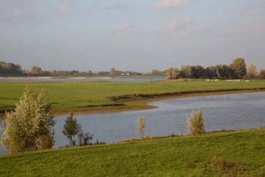 Nehirli güzel bir manzara