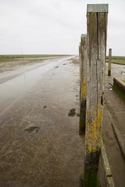 Çamurdaki ahşap çit