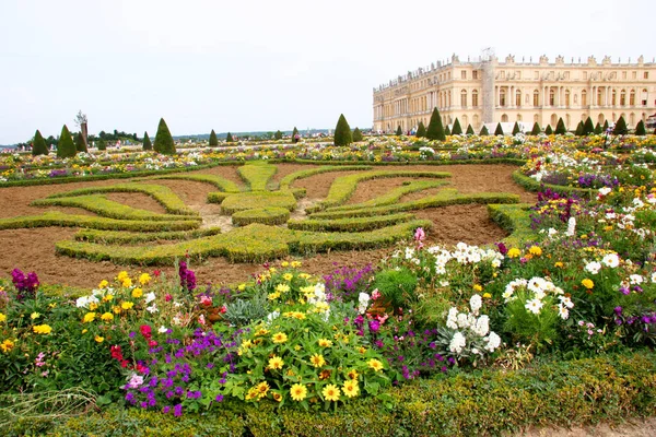 Bellissimo Giardino Con Erba Verde Laghetto — Foto Stock