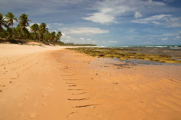Yeşil taşlı güzel sahil manzarası