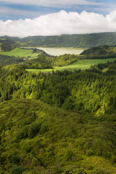 Nehir ve gölü olan güzel bir manzara.