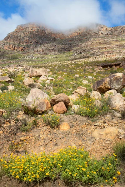Güney Afrika 'nın Karoo çölündeki bir dağ geçidinde tipik aşınmış kaya oluşumu.