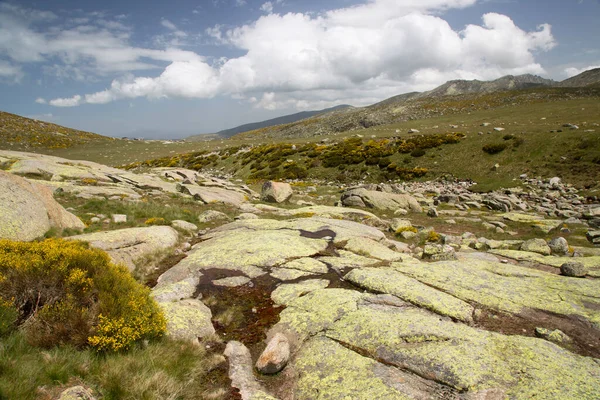 Bulutlu gökyüzünün altındaki dağlık manzaranın görüntüsü