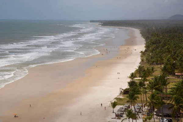 Palmiye ağaçları olan güzel tropikal plaj