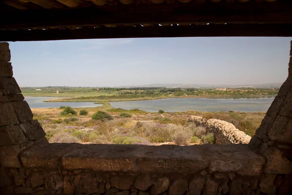 Parktaki güzel nehir