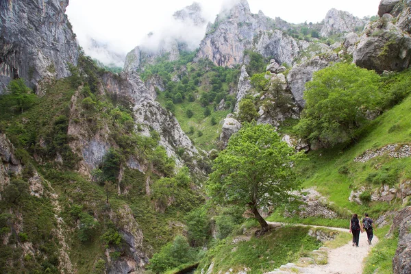 Dağlarda yürüyüşçüler, Kuzey İspanya.
