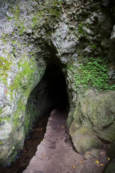 Doğanın güzel manzarası