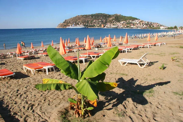 Güneşli halk plajı sahnesi ve denizdeki dağ