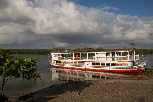 Yeşil tropikal körfeze demirlemiş tekne.