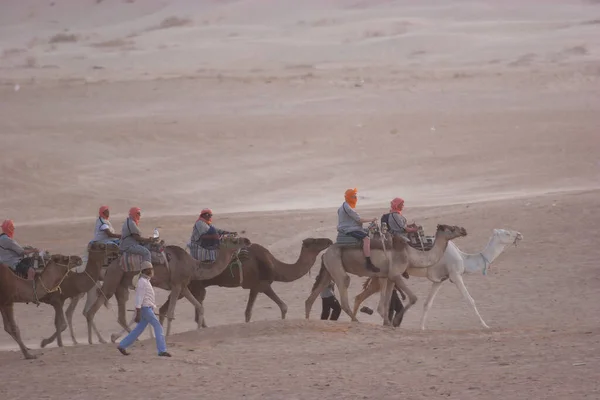 Vista Persone Che Cavalcano Cammelli Nel Deserto — Foto Stock